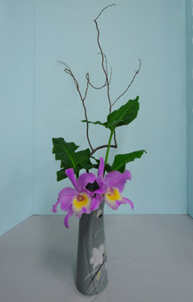 Enlarge photo 28