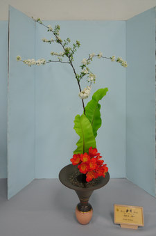 Enlarge photo 30