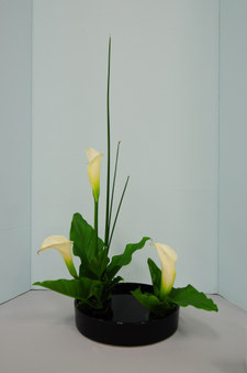 Enlarge photo 34
