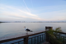 Enlarge photo 30