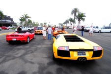 Enlarge photo 43