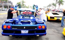 Enlarge photo 58
