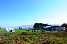 Enlarge photo 208