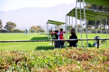 Enlarge photo 210