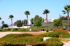 Enlarge photo 219