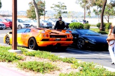 Enlarge photo 231