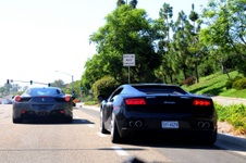 Enlarge photo 237