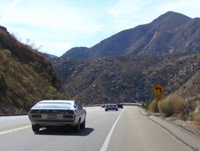 Enlarge photo 46