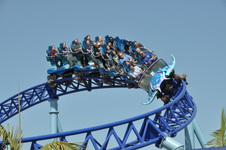 Enlarge photo 16