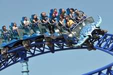 Enlarge photo 22