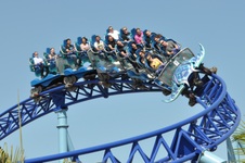 Enlarge photo 23