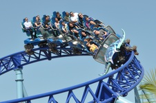 Enlarge photo 24