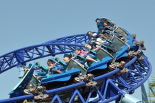 Enlarge photo 27