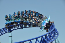 Enlarge photo 30