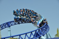 Enlarge photo 31