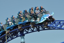 Enlarge photo 33