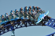 Enlarge photo 34