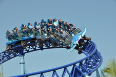 Enlarge photo 35
