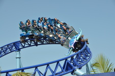 Enlarge photo 37