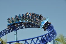 Enlarge photo 41