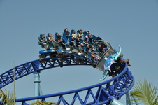 Enlarge photo 42