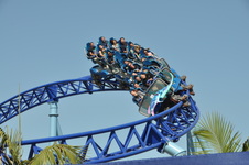 Enlarge photo 43