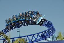 Enlarge photo 47
