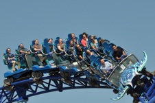 Enlarge photo 48