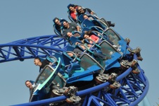 Enlarge photo 51
