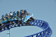 Enlarge photo 52