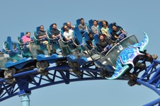 Enlarge photo 54