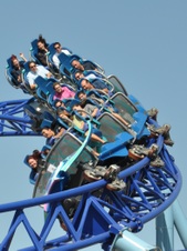 Enlarge photo 55