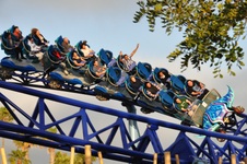 Enlarge photo 64