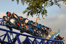 Enlarge photo 69