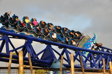 Enlarge photo 72