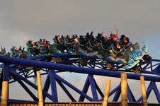 Enlarge photo 75