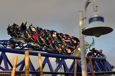 Enlarge photo 78