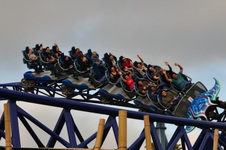 Enlarge photo 81