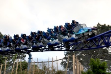 Enlarge photo 85