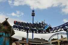 Enlarge photo 95