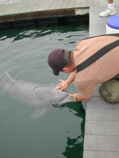 Enlarge photo 6