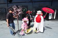 Enlarge photo 73