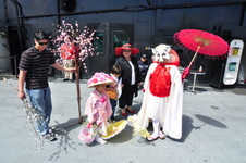 Enlarge photo 74