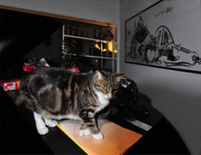 Enlarge photo 111