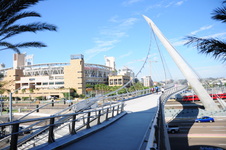 Enlarge photo 55
