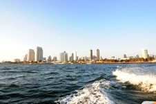 Enlarge photo 62