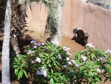 Enlarge photo 30