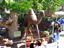 Enlarge photo 34