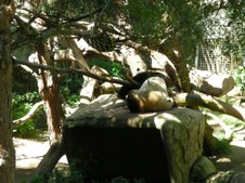 Enlarge photo 33