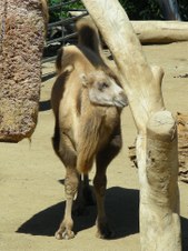 Enlarge photo 35